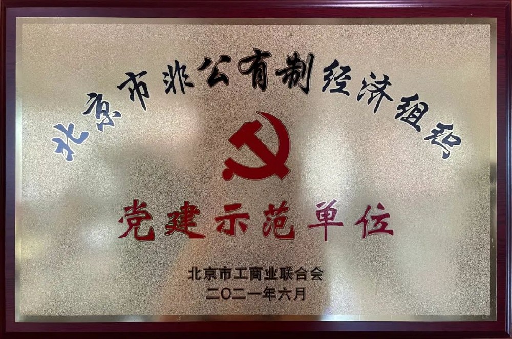 党、工、团荣誉