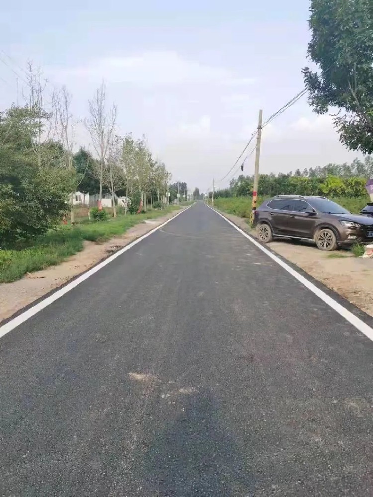 雄县陈家柳南排干渠（张岗境内）道路外延整修项目